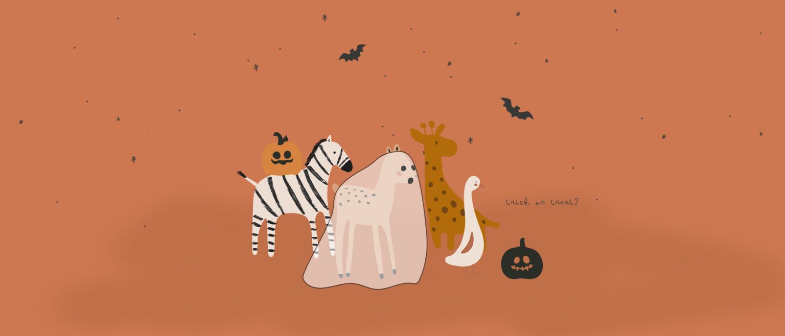 promoção halloween bebé 20% desconto. Produtos para bebé em 100% algodão orgânico